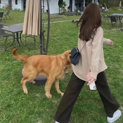 虚拟人生在路上